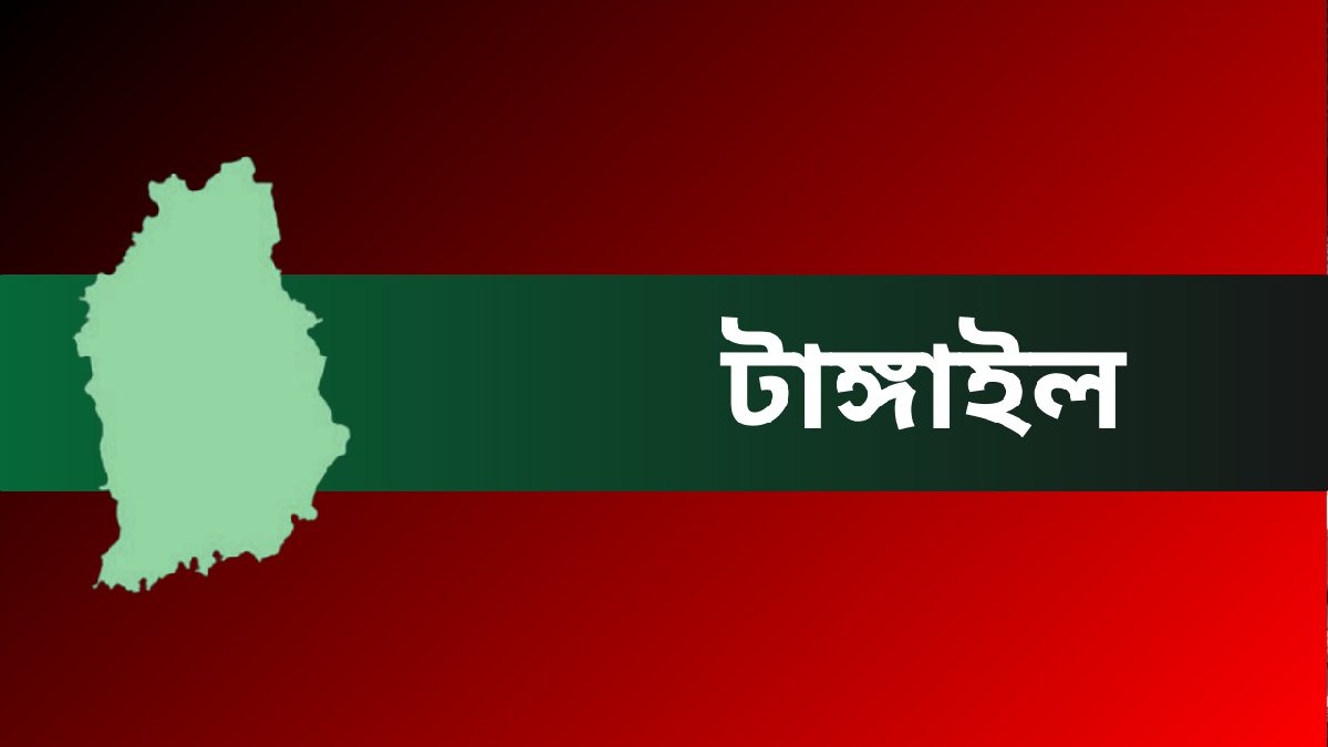 উৎসবমুখর পরিবেশে টাঙ্গাইলের আটটি আসনে ৬৫ প্রার্থীর মনোনয়নপত্র জমা