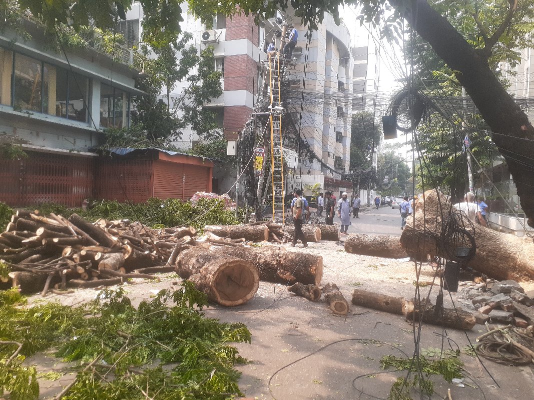 ঝড়ে গাছ উপড়ে বৈদ্যুতিক লাইনের ওপর, গুলশানে বিদ্যুৎ সরবরাহ ব্যাহত